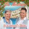 The Moonlights Als bouzouki's klinken